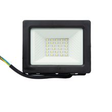 Proyector LED SMD 30W LD