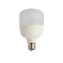 Lamp LED alta potencia 20W E27 LD x 10 U.