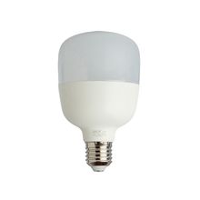 Lamp LED alta potencia 20W E27 BC x 10 U.